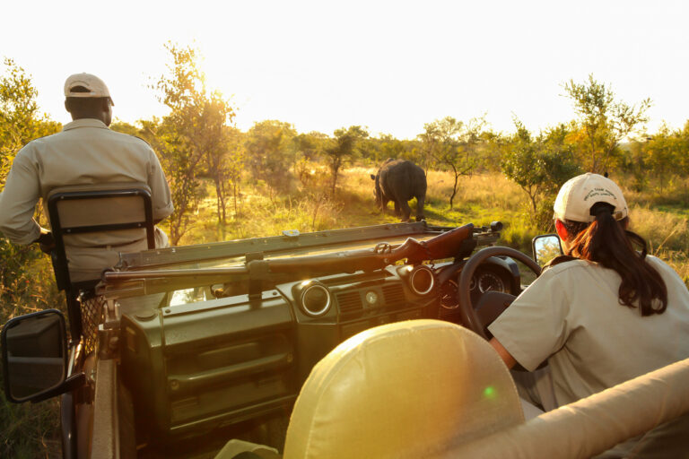 conservation tracker guide sitting on the front of a safari vehicle looking for animal tracks in a game reserve