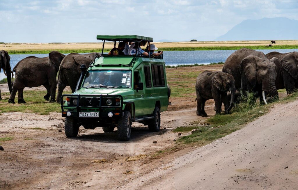 amboseli 1