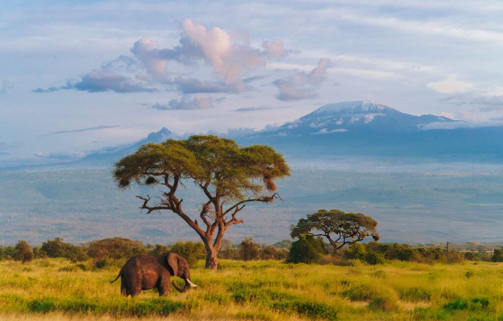 amboseli 3