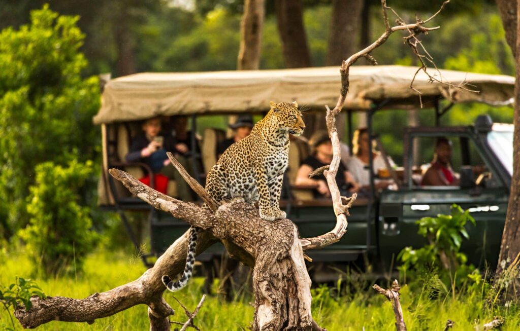 maasai mara 2