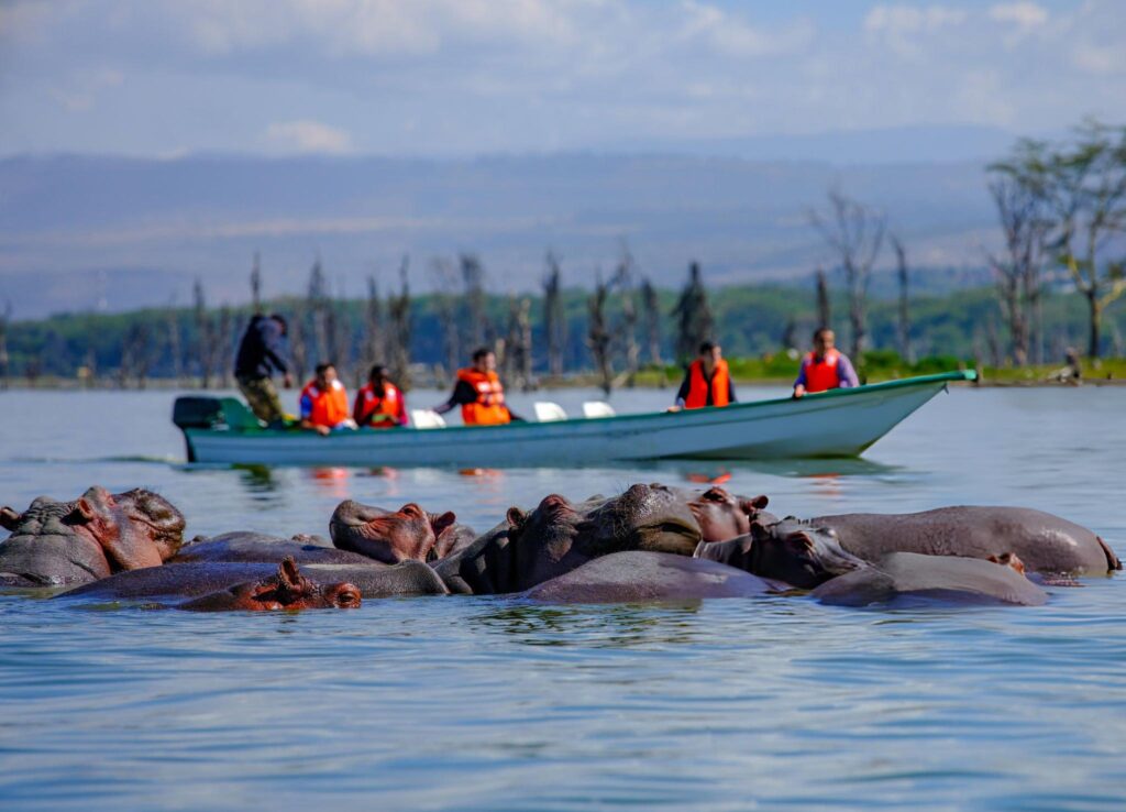 naivasha lake 5